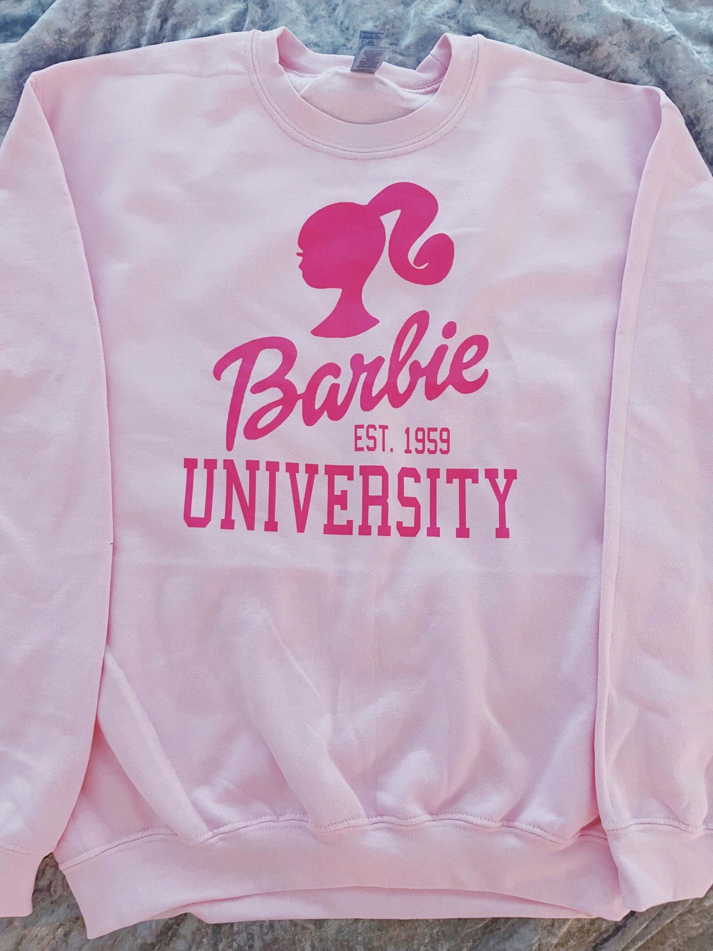 barbie university